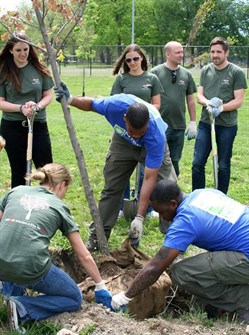 NFL Tree Planting 2