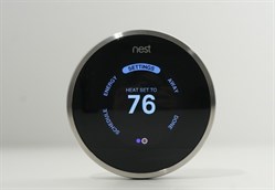 Nest Photo