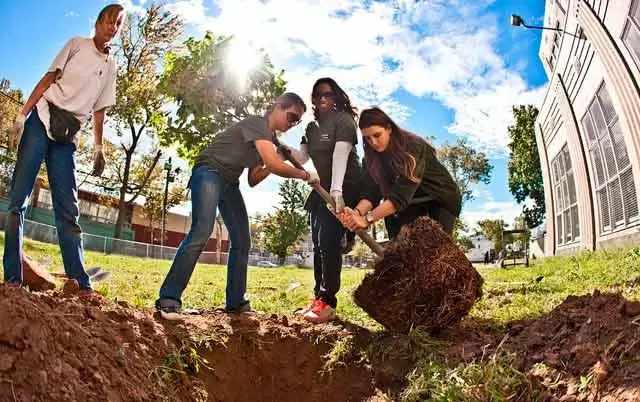 Planting trees in Newark NJ