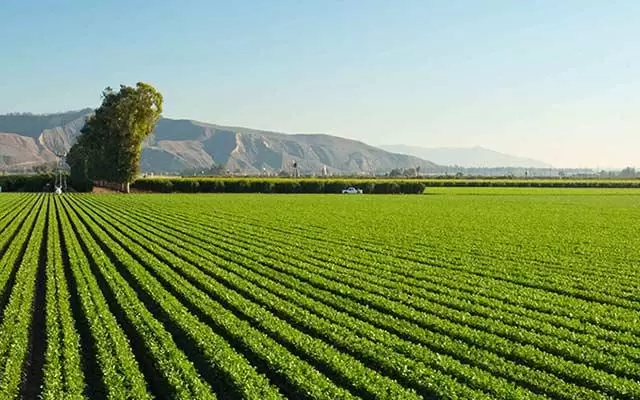 Cutting-edge tech is making farming cool 