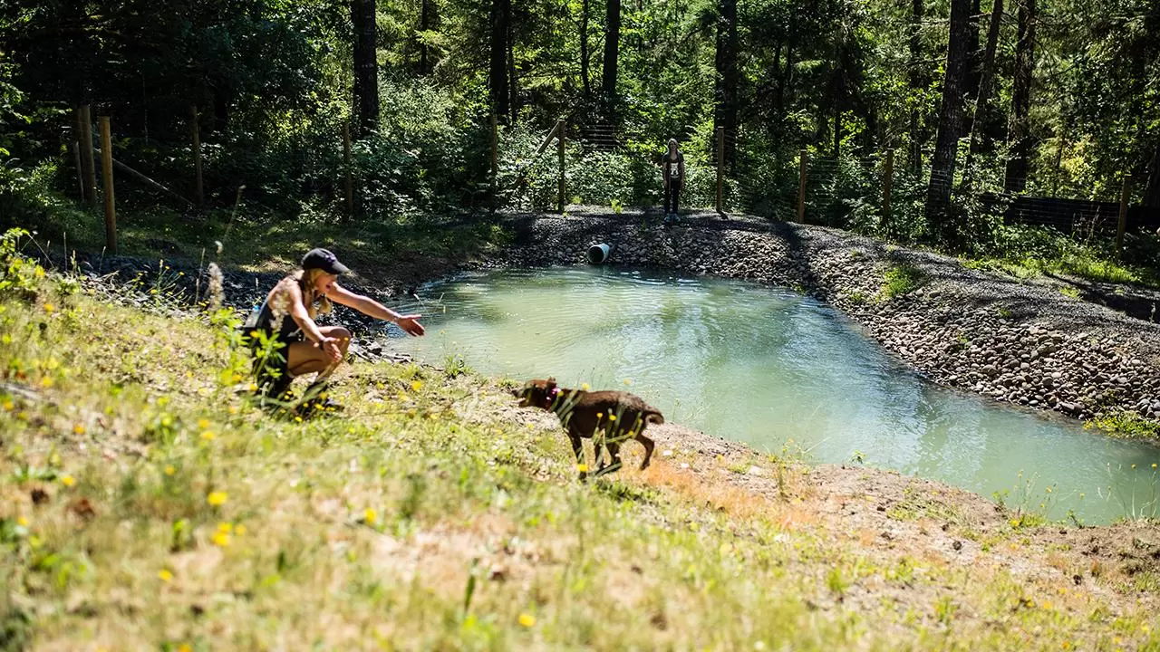 Woman with dog by a lake