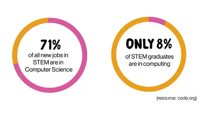 STEM Pie Chart